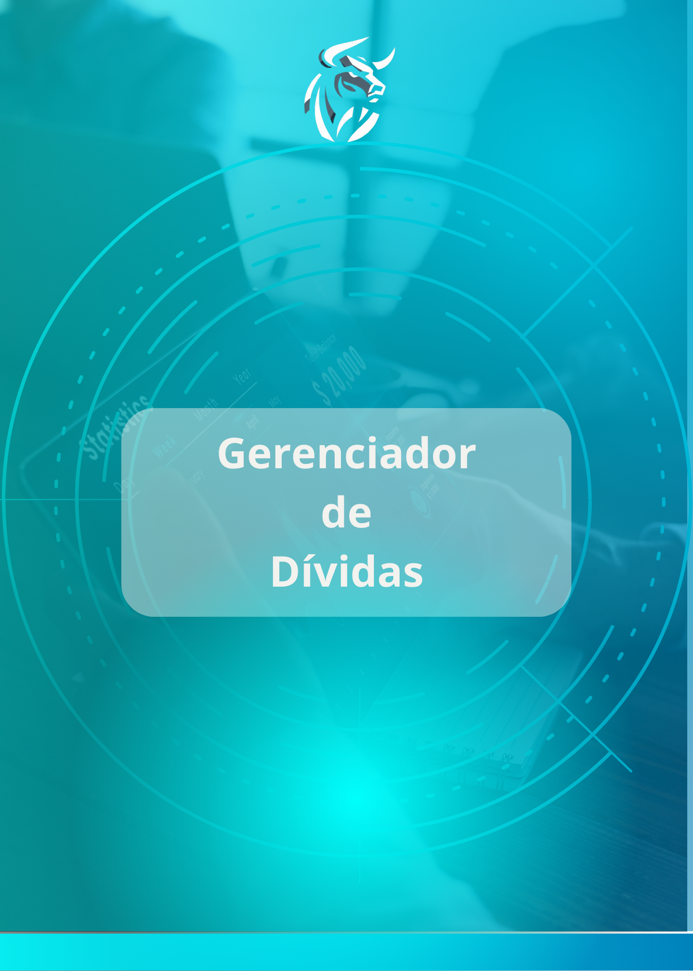 Gerenciador de Dívidas